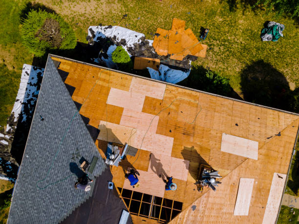 Best Flat Roof Repair Services  in North Newton, KS